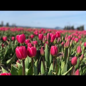 Meet your Posher, Eddy